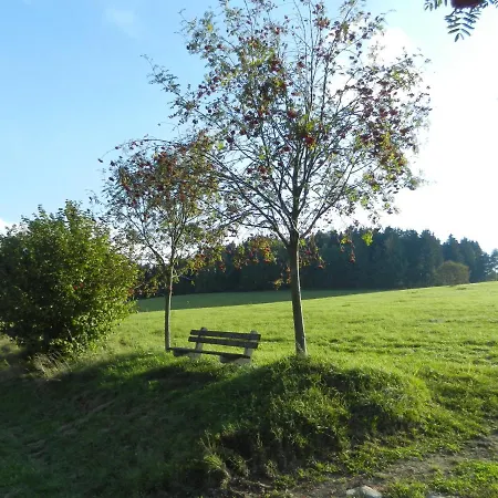 Waldgasthof & Am Sauwald Hotel *