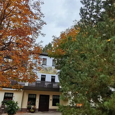 Waldgasthof & Am Sauwald Hotel Tannenberg
