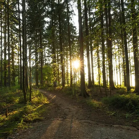 Waldgasthof & Am Sauwald Ξενοδοχείο Tannenberg