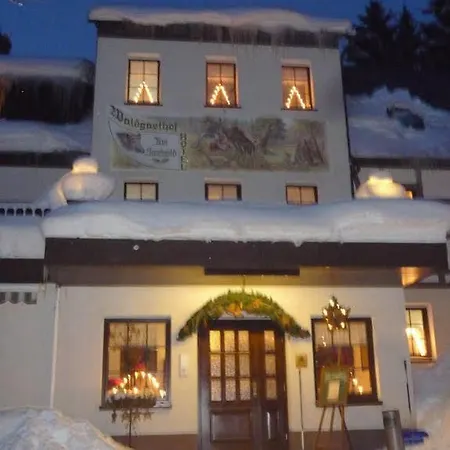 Hotel Waldgasthof & Am Sauwald Tannenberg