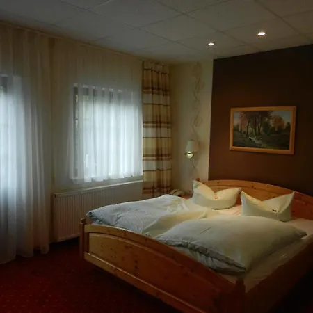 Hotel Waldgasthof & Am Sauwald Tannenberg