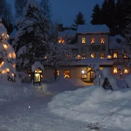 Hotel Waldgasthof & Am Sauwald Tannenberg